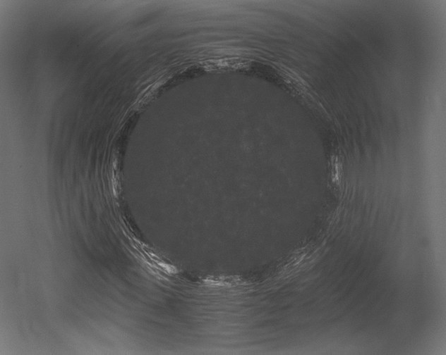 X0000052650915200507011408