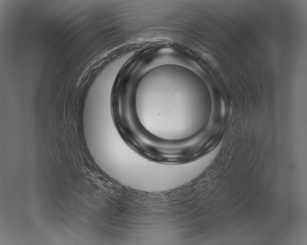 X0000052650920200507011408
