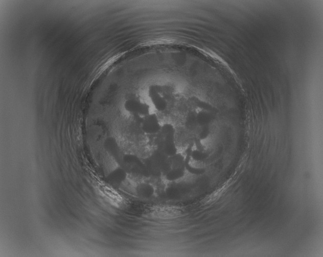 X0000052650921200507011408