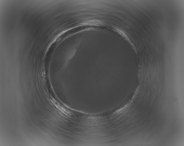 X0000052650923200507011408