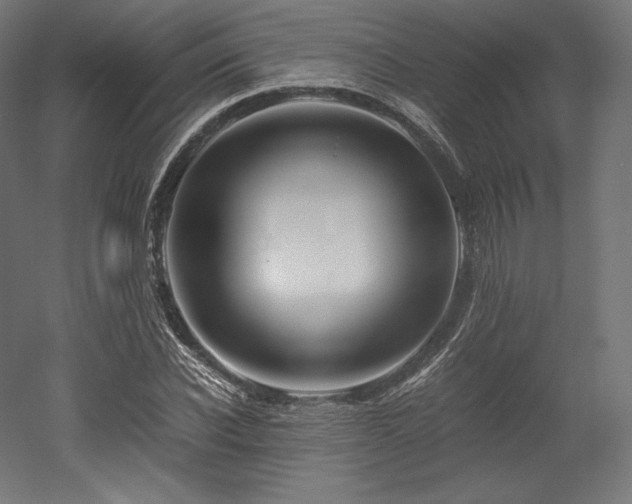 X0000052650926200507011408