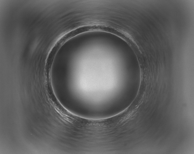 X0000052650927200507011408