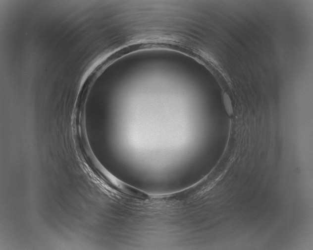 X0000052650928200507011408
