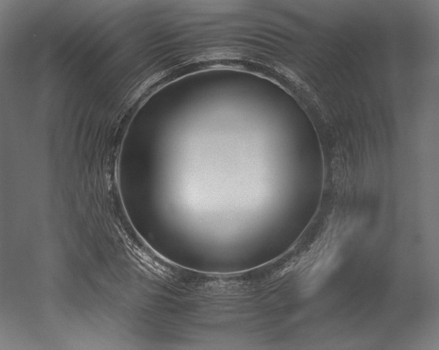 X0000052650929200507011408