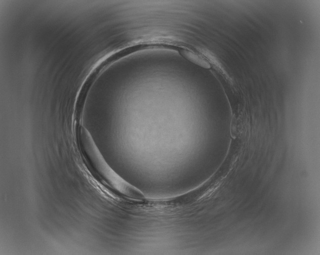 X0000052650932200507011408