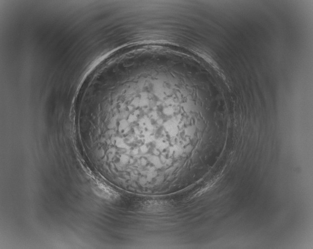 X0000052650933200507011408