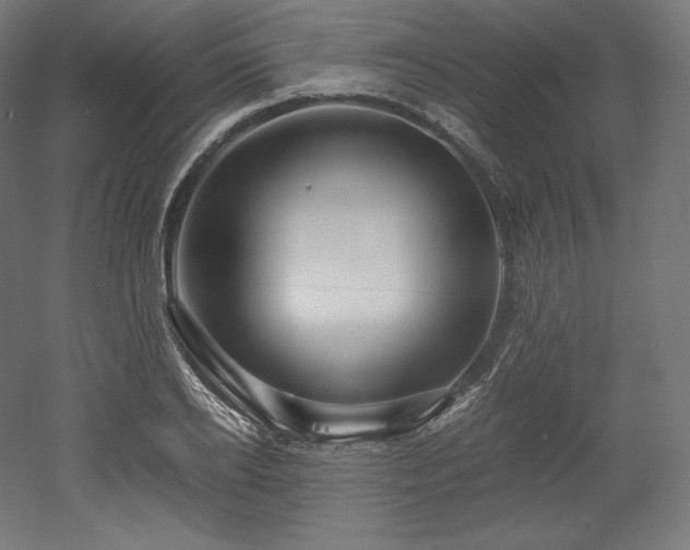 X0000052650934200507011409