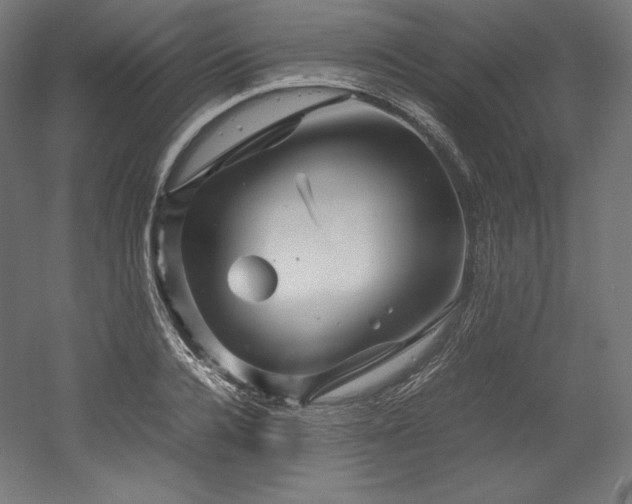 X0000052650936200507011409