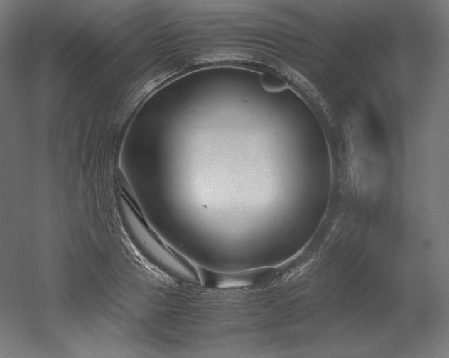 X0000052650937200507011409