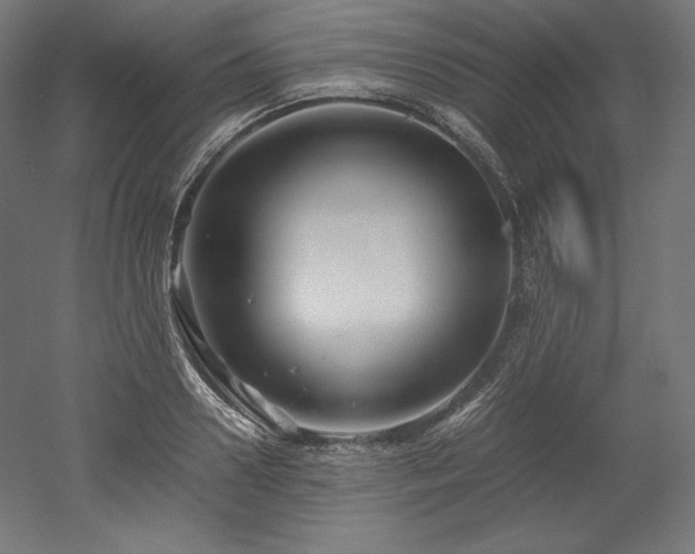 X0000052650938200507011409