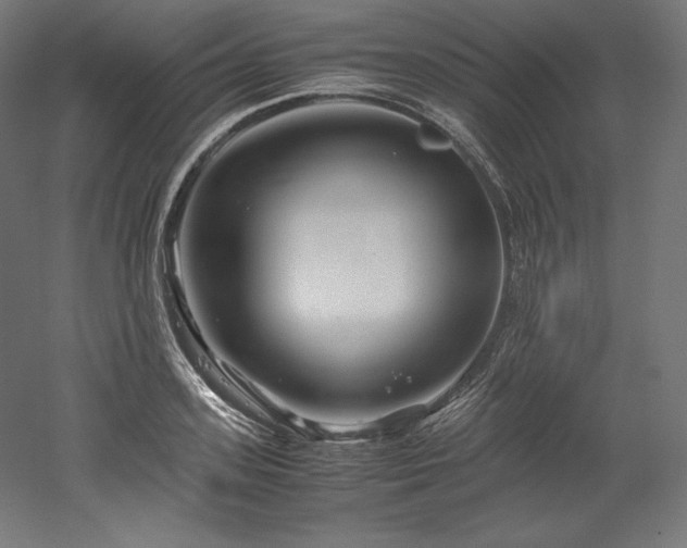 X0000052650939200507011409