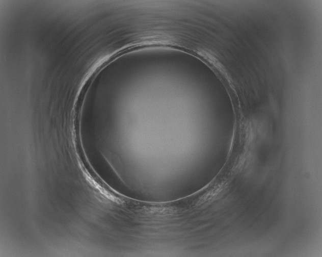 X0000052650941200507011409