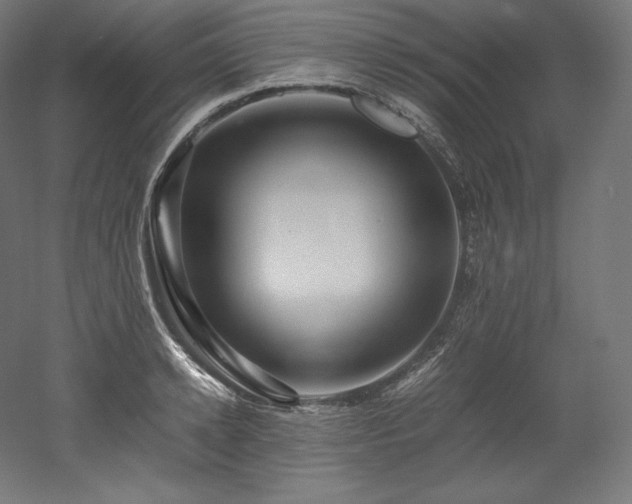 X0000052650942200507011409
