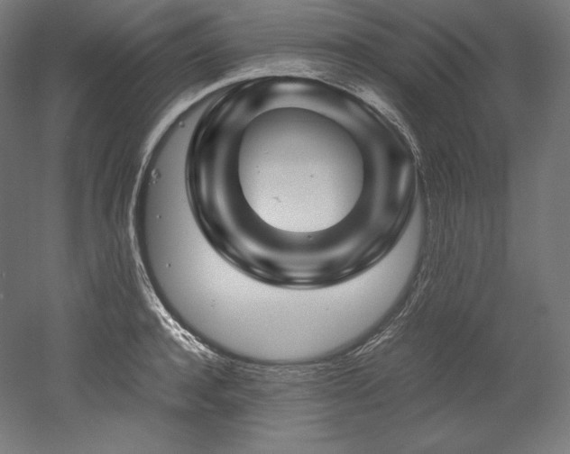 X0000052650944200507011409