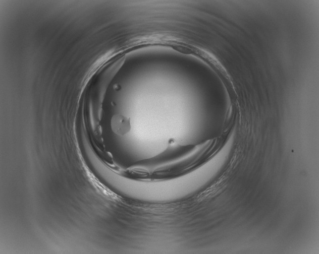 X0000052650946200507011409