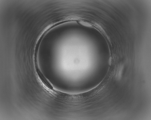 X0000052650947200507011409