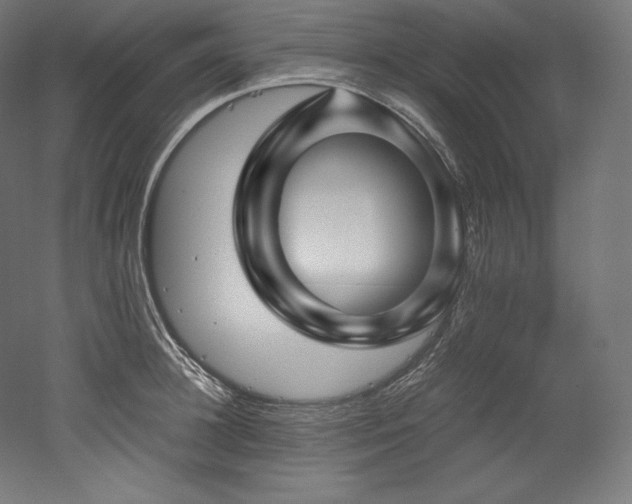X0000052650948200507011409