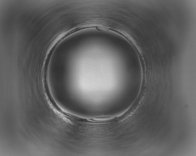 X0000052650949200507011409