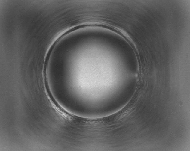 X0000052650951200507011409