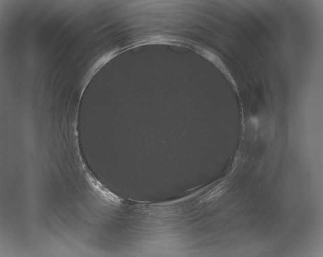 X0000052650954200507011409