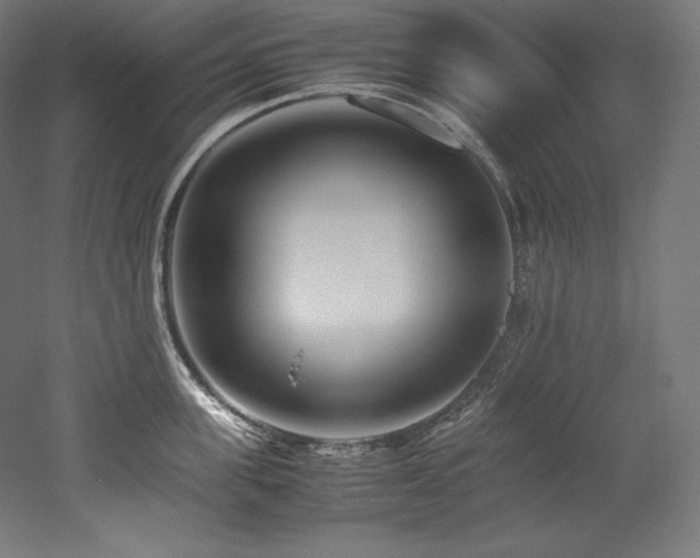 X0000052650955200507011409