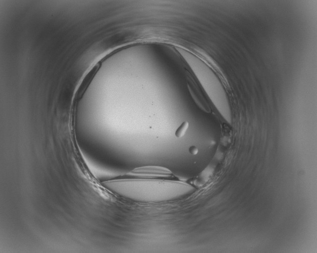 X0000052650956200507011409