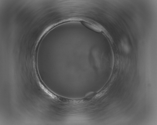 X0000052650958200507011409