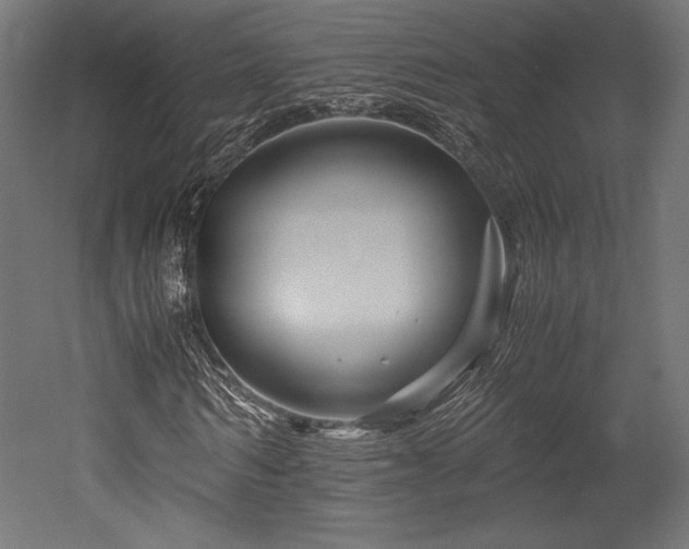 X0000052650962200507011408