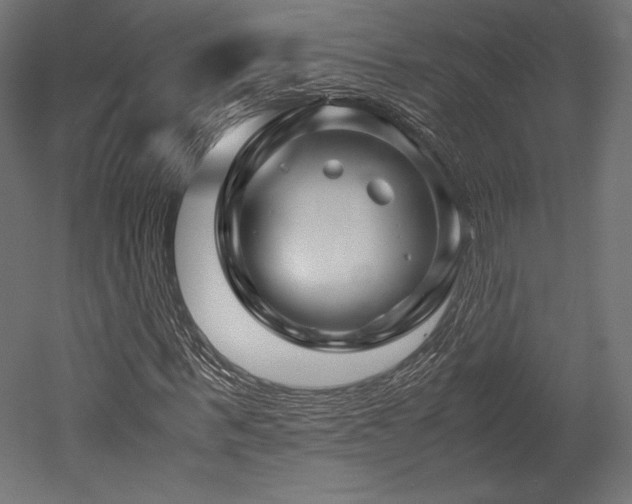 X0000052650963200507011408