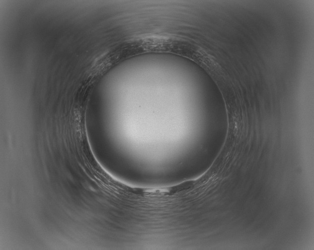 X0000052650964200507011408