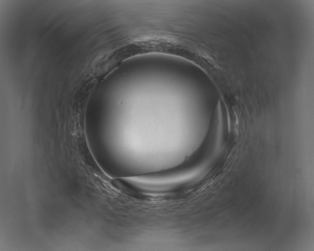 X0000052650965200507011408