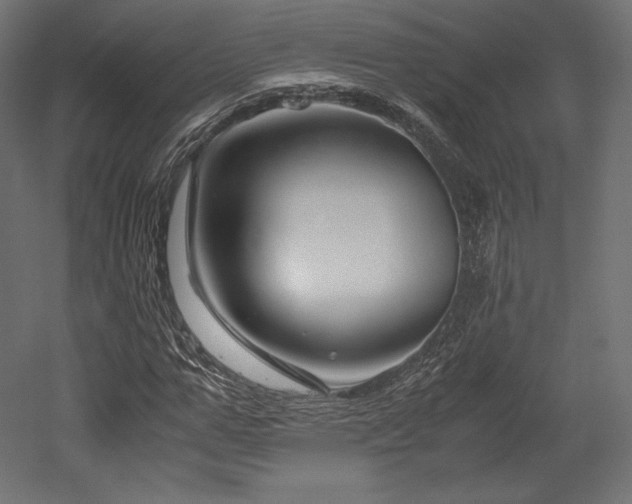 X0000052650967200507011408