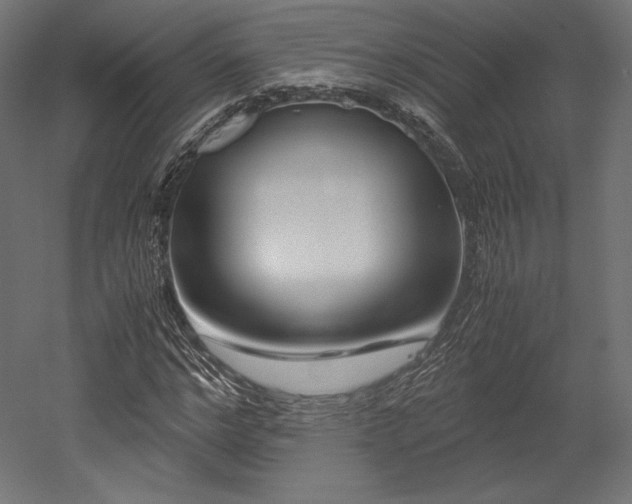 X0000052650968200507011408