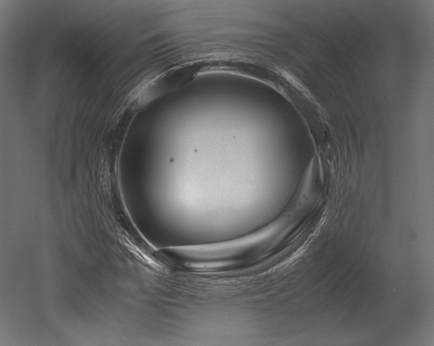 X0000052650969200507011408