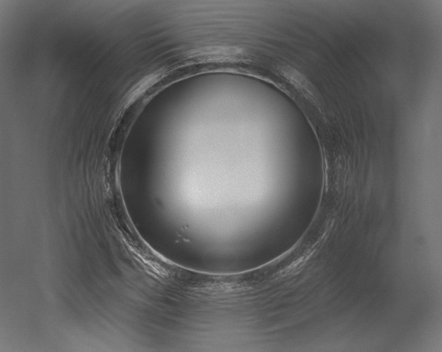 X0000052650970200507011408