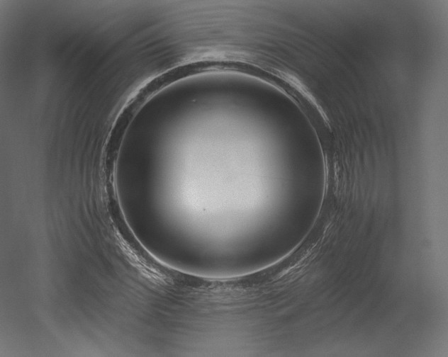 X0000052650972200507011408