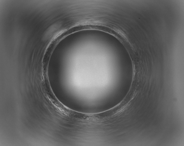 X0000052650974200507011408