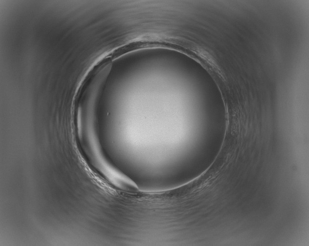 X0000052650976200507011408