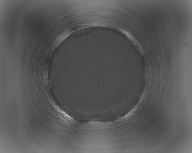 X0000052650977200507011408
