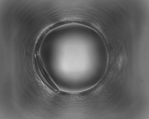 X0000052650979200507011408