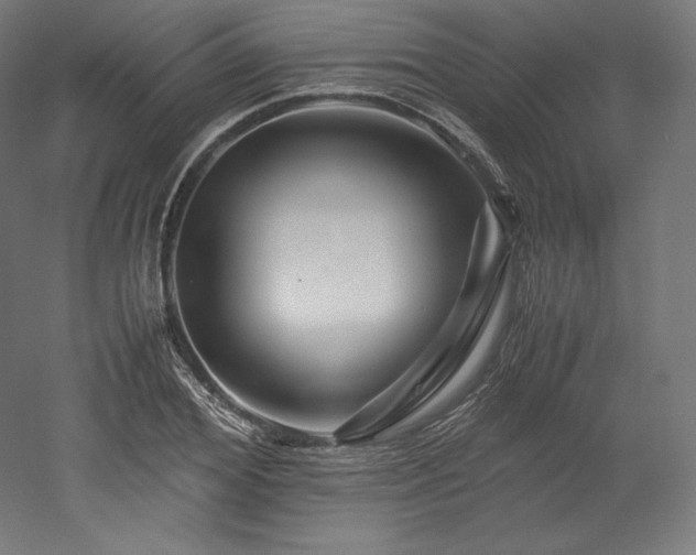 X0000052650980200507011408