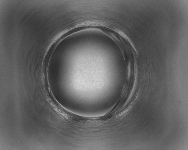 X0000052650981200507011408