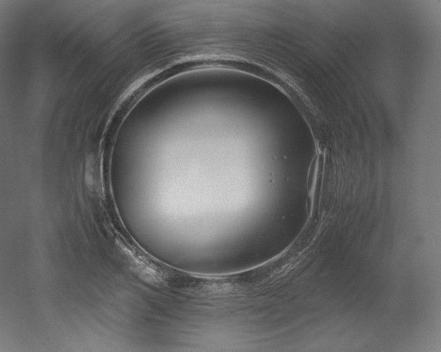 X0000052650982200507011408