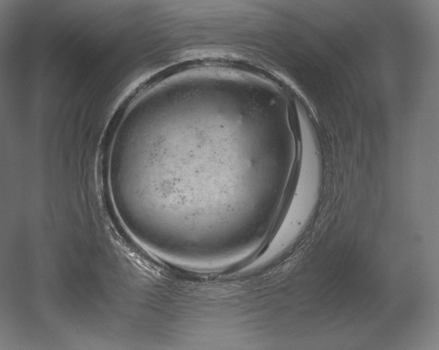 X0000052650983200507011408