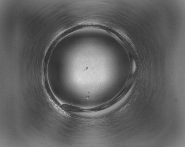 X0000052650984200507011408