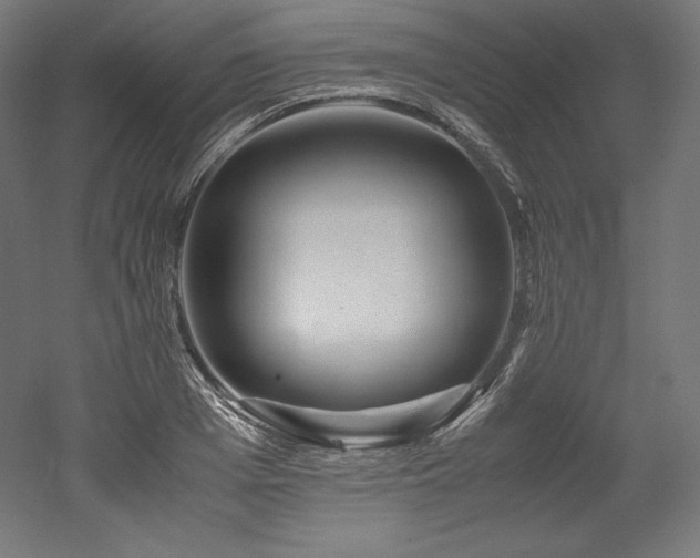 X0000052650985200507011408