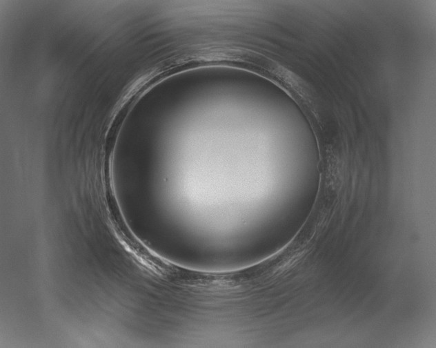 X0000052650986200507011408