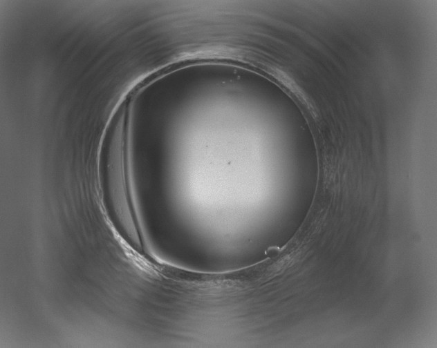 X0000052650988200507011408