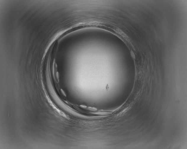 X0000052650989200507011408