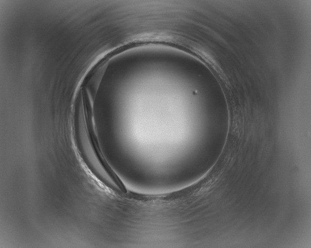 X0000052650992200507011408